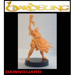 DAWNGUARD HUMAN FIGHTER 28mm RPG miniatures BARDSUNG