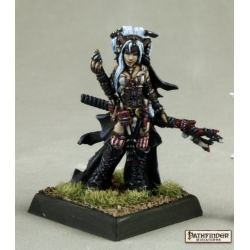 Feiya, Iconic & Fox Familiar PATHFINDER REAPER MINIATURES