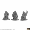 Crypt of the Dwarf King Boxed Set REAPER BONES