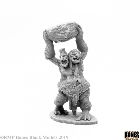 Two Headed Troll Large miniature Reaper Bones Black