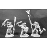 Lizardman Command DARK HEAVEN LEGENDS REAPER MINIATURES