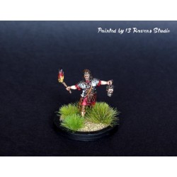 Imperial Roman Legionaries Adancing (25) 28mm VICTRIX MINIATURES