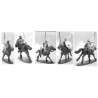 Imperial Roman Cavalry (16) 28mm VICTRIX MINIATURES