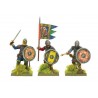 Viking Hirdmen w/weapons Sprues WARLORD GAMES