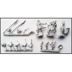 Pike & Shotte Command 7 (3) 28mm  WARLORD GAMES