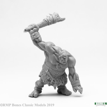 Hill Giant Lowland Warrior (Reaper Bones)