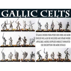 GALLIC GAUL WARRIORS (10) 28mm Ancients