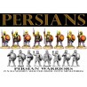 Persian Warrior Infantry 1 (5) 28mm FOUNDRY