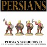 Persian Warrior Infantry 3 (5) 28mm FOUNDRY