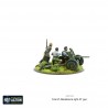 French Resistance light anti-tank gun WARLORD GAMES