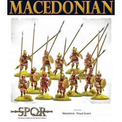 SPQR: Greek Macedonian Royal Guard 28mm Ancient WARLORD GAMES