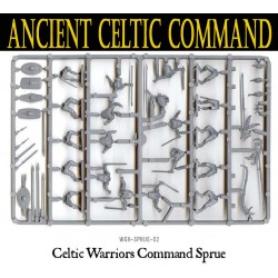 Ancient Celts: Celtic Warriors (30) WARLORD GAMES