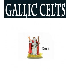 SPQR - Druid - Gaul 28mm Ancients WARLORD GAMES