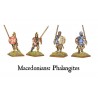 Greek Macedonian Phalangite "Phalanx" Unit (20) 28mm Ancient WARLORD GAMES