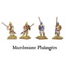 Greek Macedonian Phalangite "Phalanx" Unit (20) 28mm Ancient WARLORD GAMES