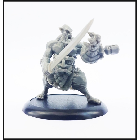 WRATH 6 - SHAEL HAN - WRATH OF KINGS - GENERIC RPG MINIATURES