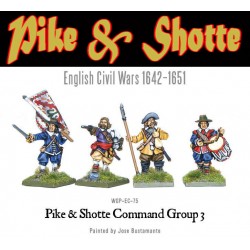 ECW Command 3 (4) 28mm Thirty Years War Pike & Shotte WARLORD GAMES