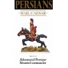 Persians Mounted Persian commander  28mm WARLORD GAMES