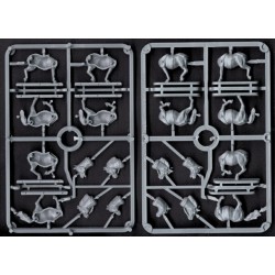 Imperial Roman Auxiliary Cavalry Boxed set (12) 28mm Ancients WARGAMES FACTORY