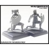 Amazon Warriors! (10) 28mm Ancients WARGAMES FACTORY