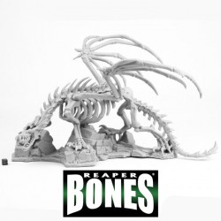 Skeletal Dragon REAPER BONES