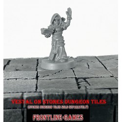 Vestal 28mm RPG miniatures DARKEST DUNGEON