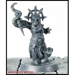 Ascended Witch 28mm RPG miniatures DARKEST DUNGEON