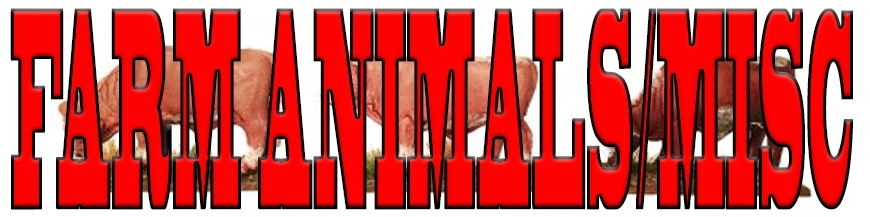 Farm Animals & other Misc. Animals